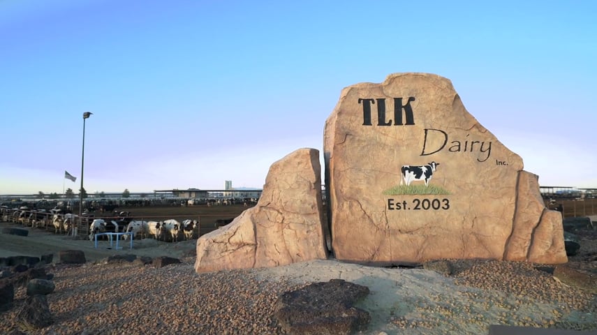 Testimonial - Full Meal Deal - TLK Dairy-thumb-3