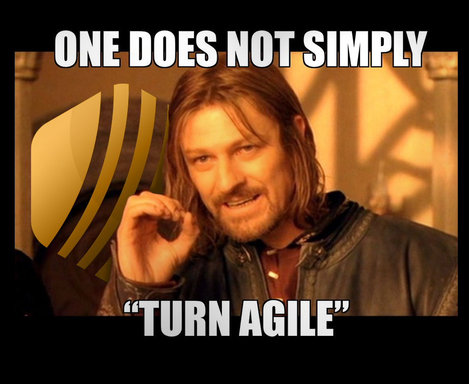 Agile Scrum GOLDPoint Systems