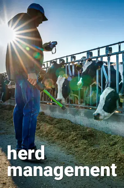 A Farmer using Herd Management Software
