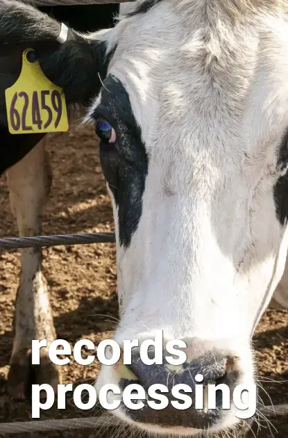 software_records-processing